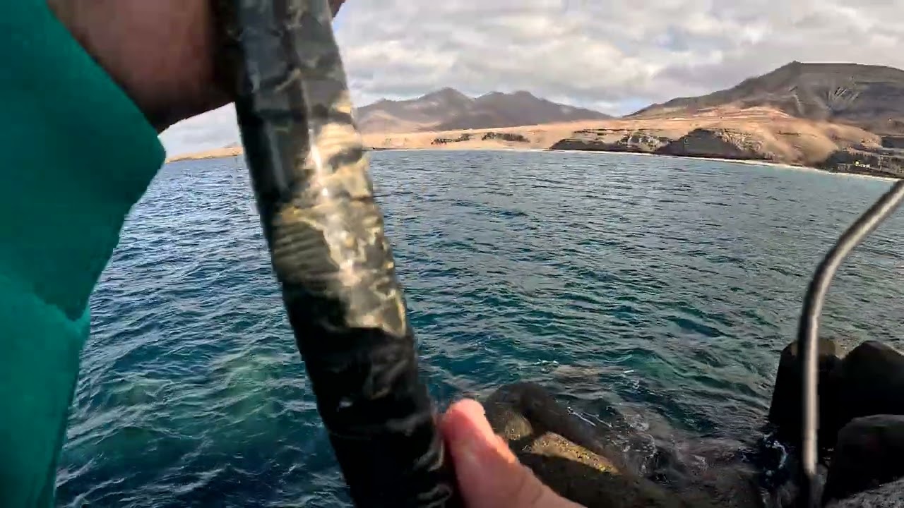 Pescamos al vivo en canarias  estamos on fire🚀🚀🎣🎣