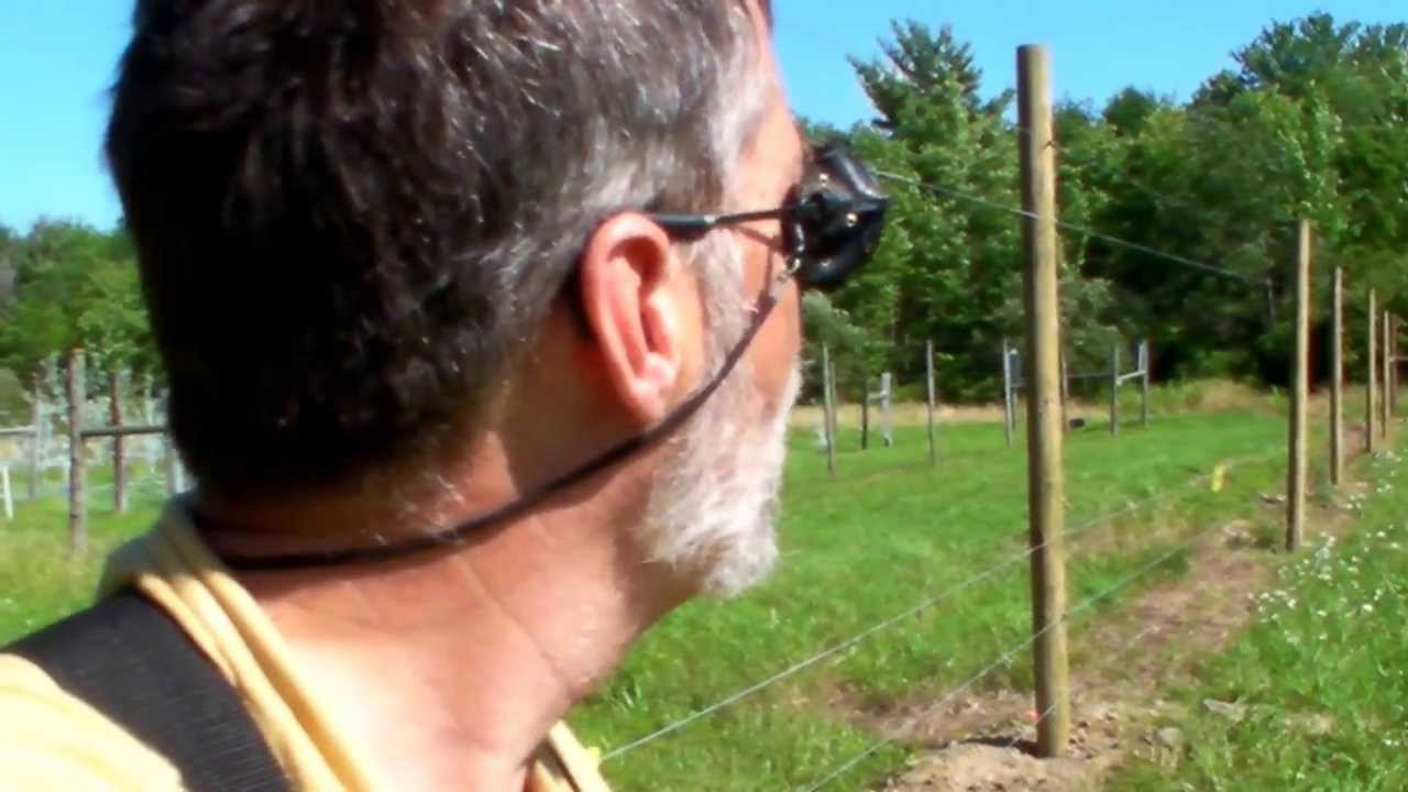 Orchard Diary 7/14/2013: Hi-tensile fencing tip: Start at the top