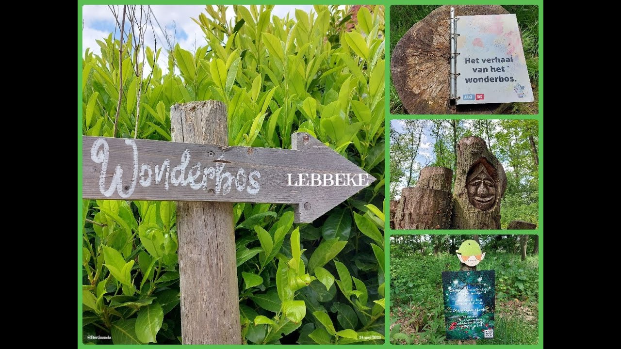 Lebbeke I het Wonderbos