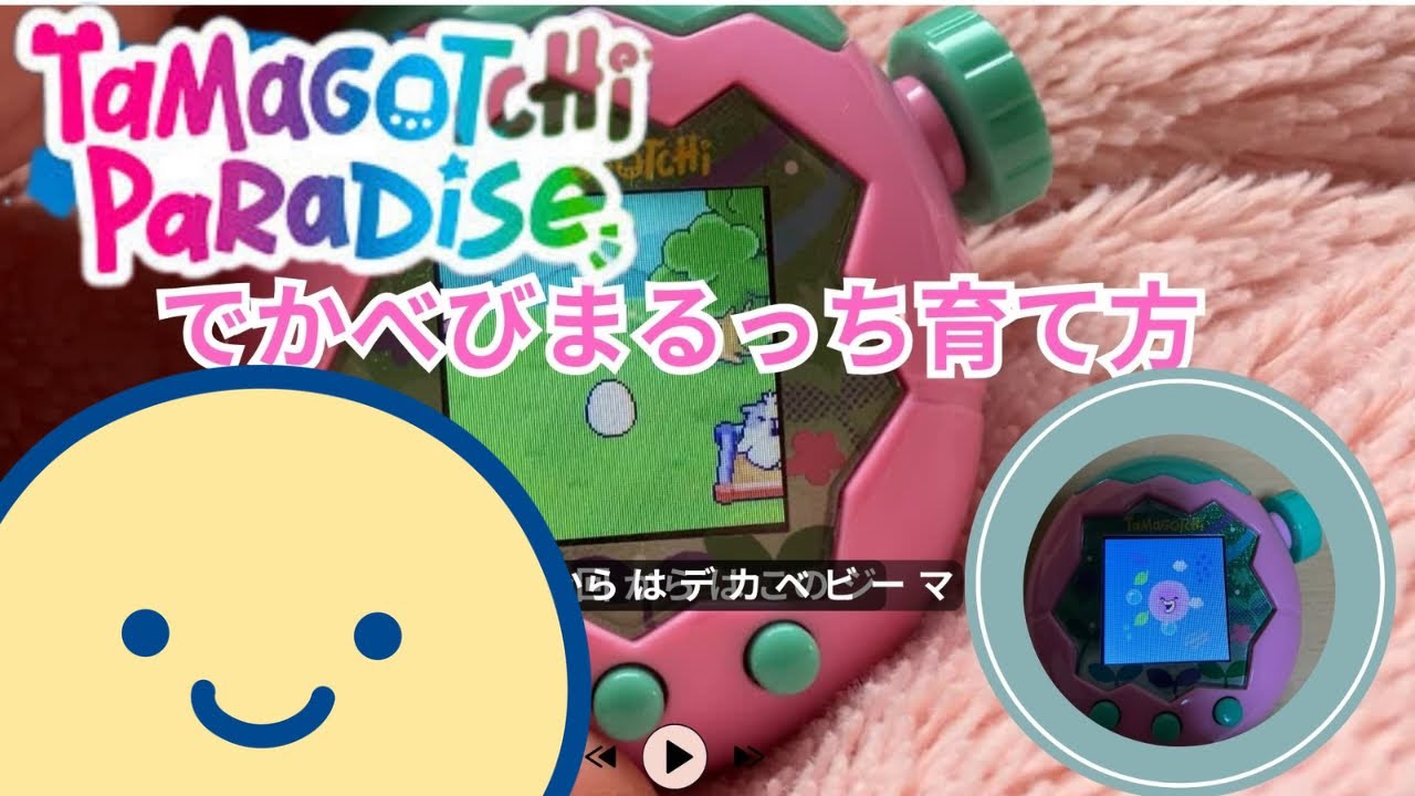 でかべびまるっちの育成方法。たまごっちパラダイスで、でかべびまるっちに進化させる方法。tamagochi