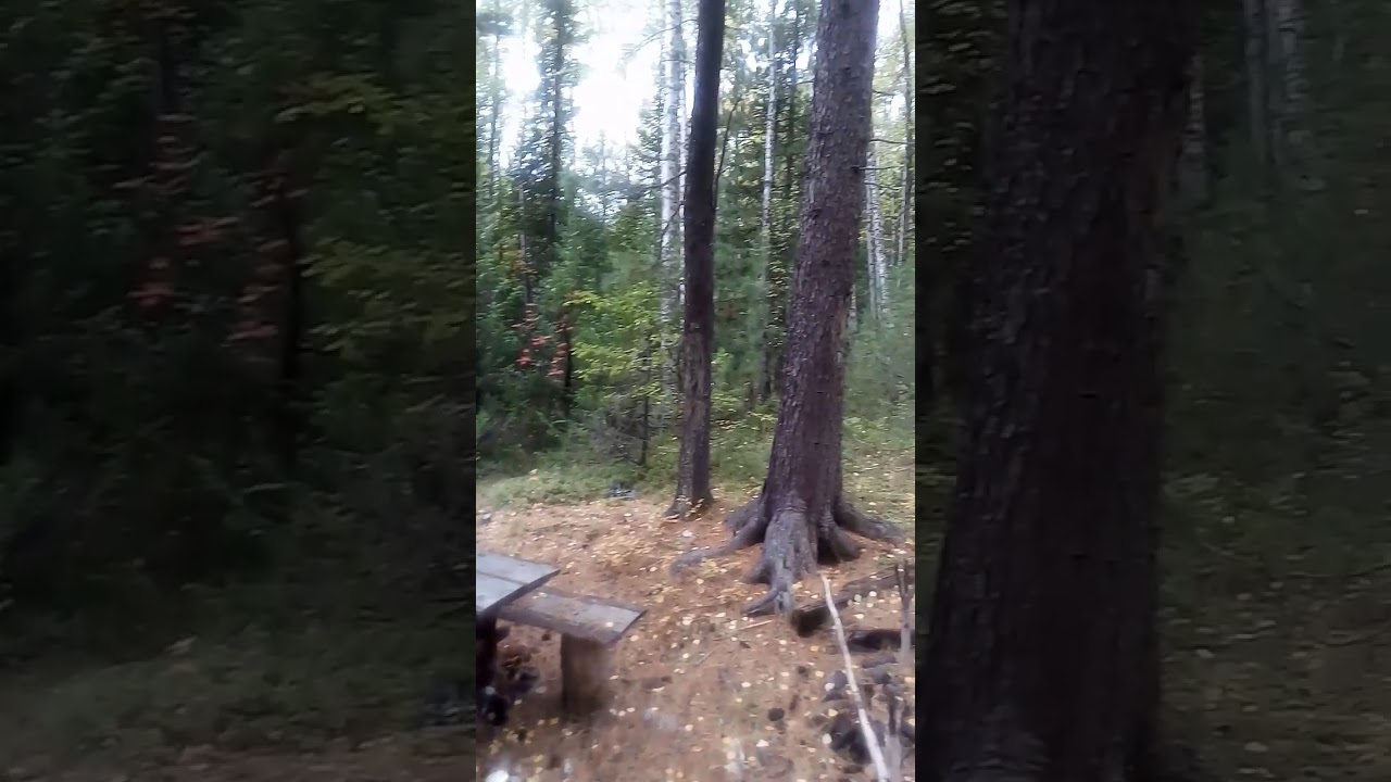 Забайкалье, осень 2017г. 