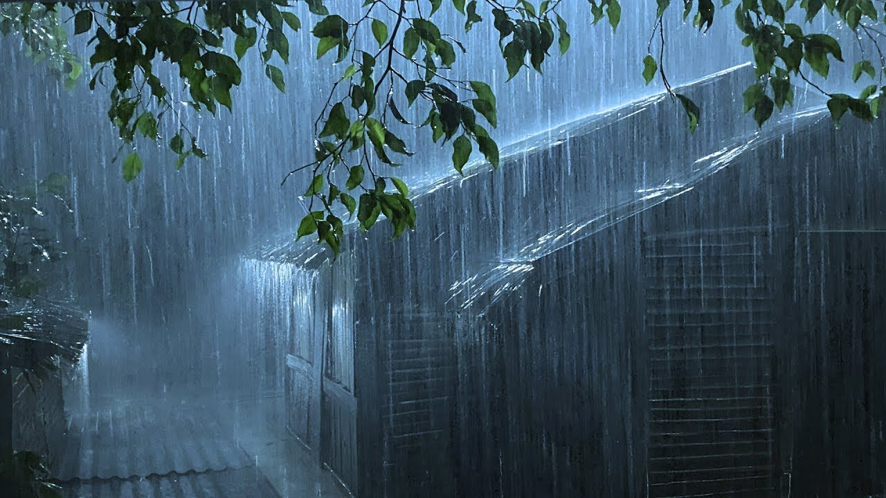 Eliminate Insomnia in 3 Minutes with Loud Rain & Powerful Thunder on Ancient Tin Roof in Dark Forest
