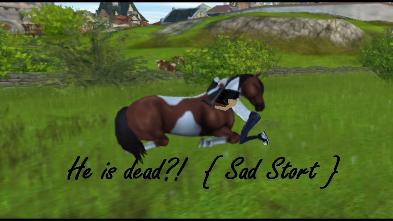 Star Stable sad story [ Zoey Clayland ]