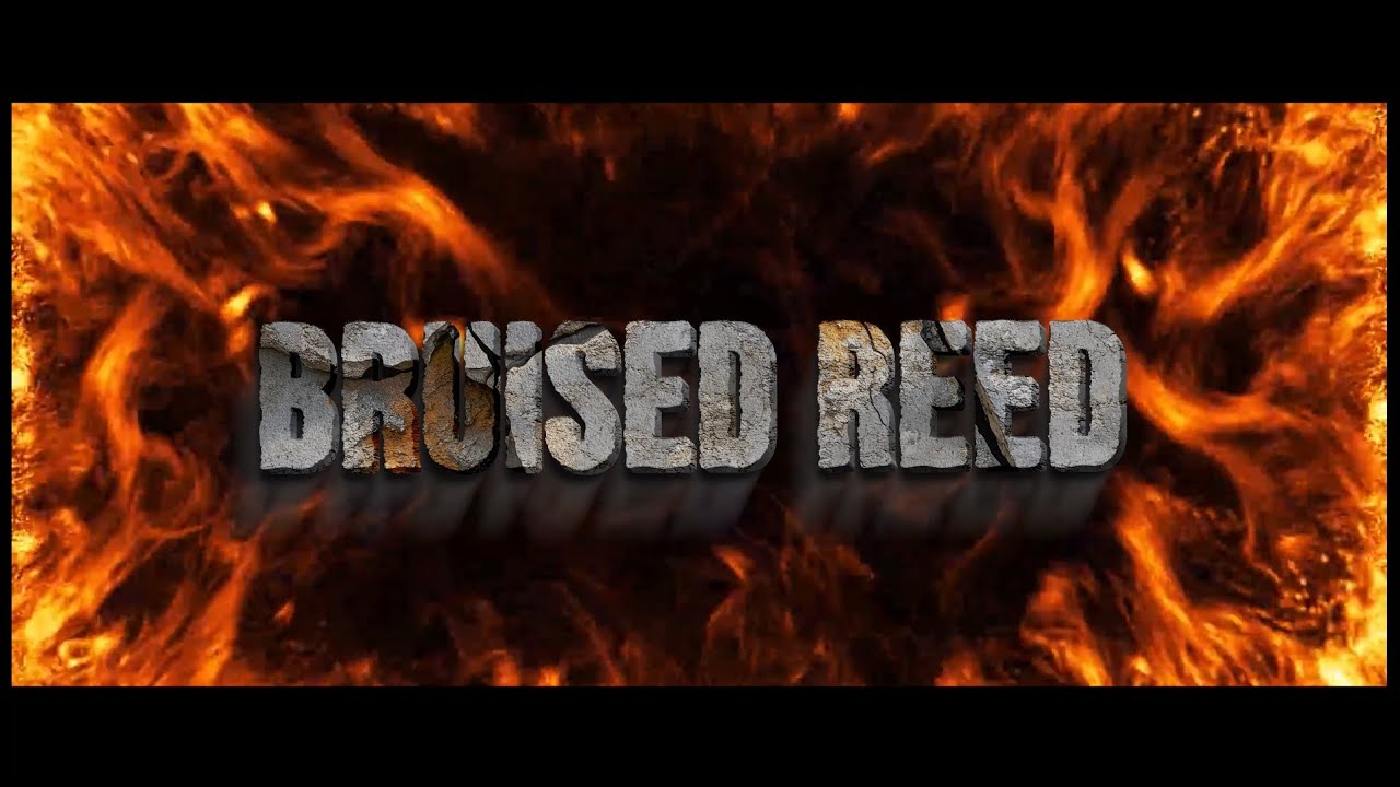 BRUISED REED - CA SKIT