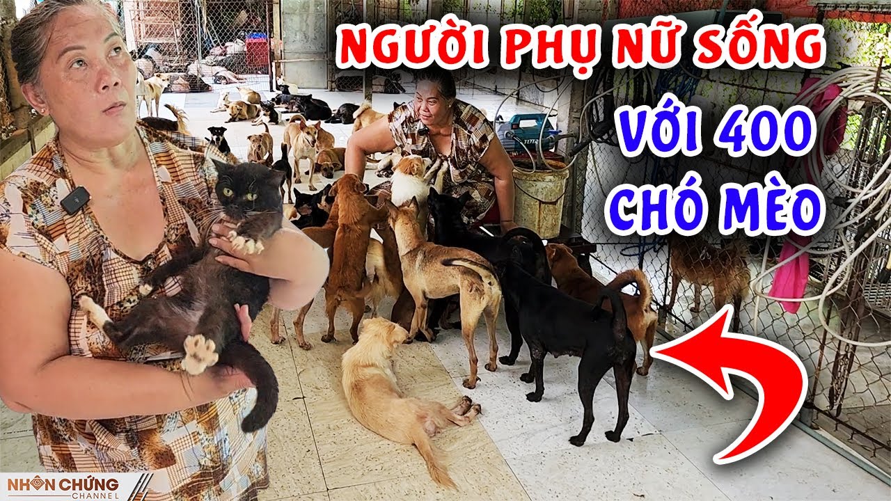 Người phụ nữ đem 400 con Chó Mèo về nuôi sau khi bị Con Người tổn thương