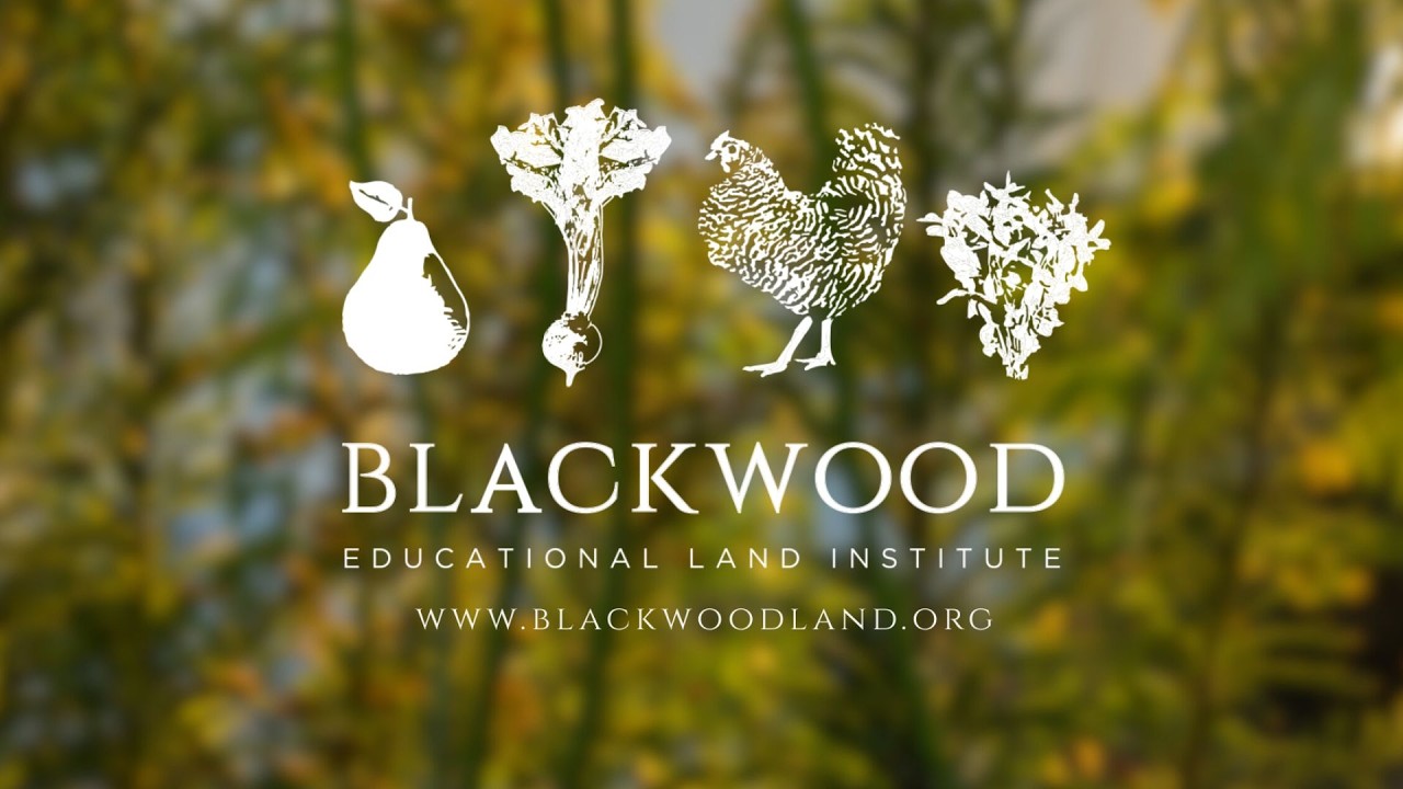 Blackwood 2025 : A Regenerative Year