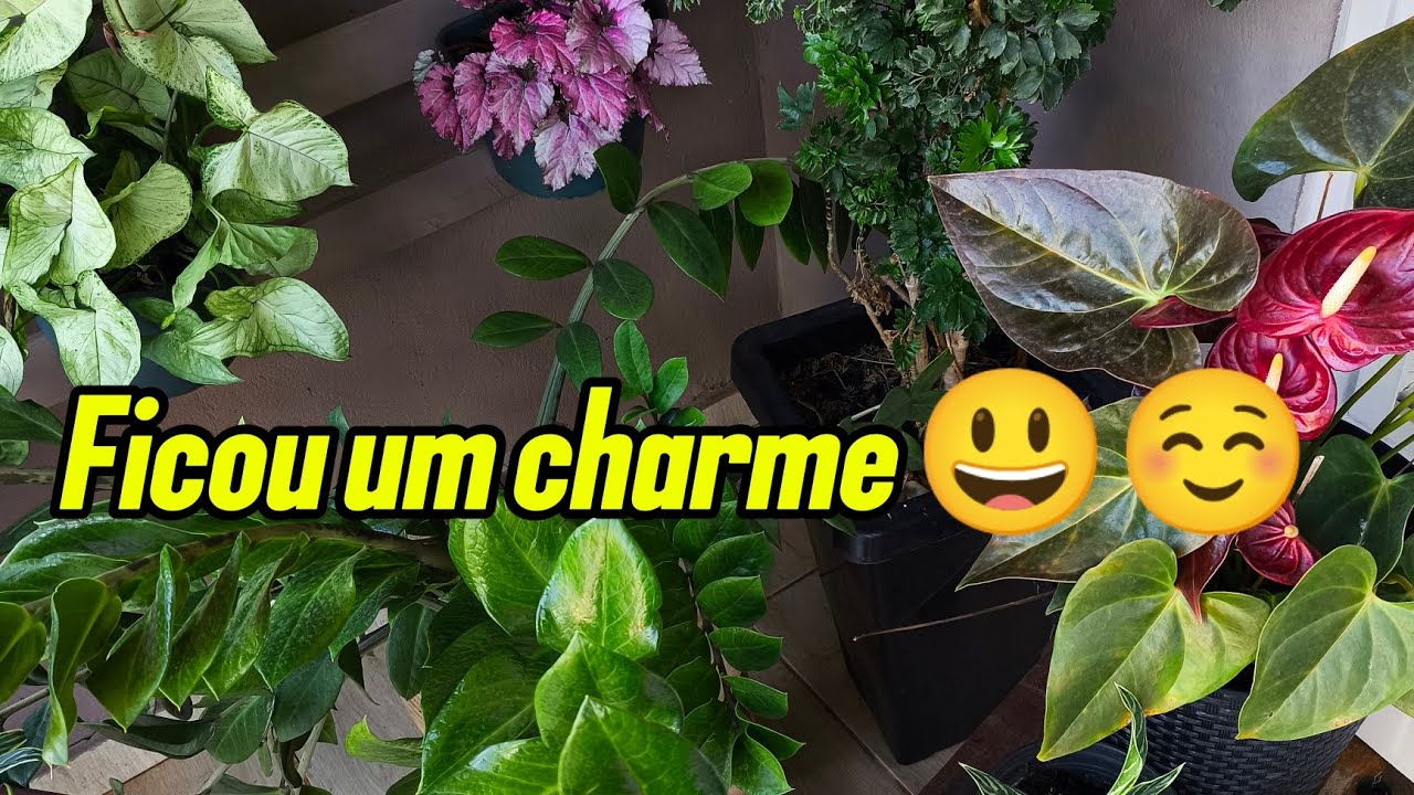 Mudei meu cantinho de Plantas da Varanda 😍?! Vamos ver como ficou?!✨🤌