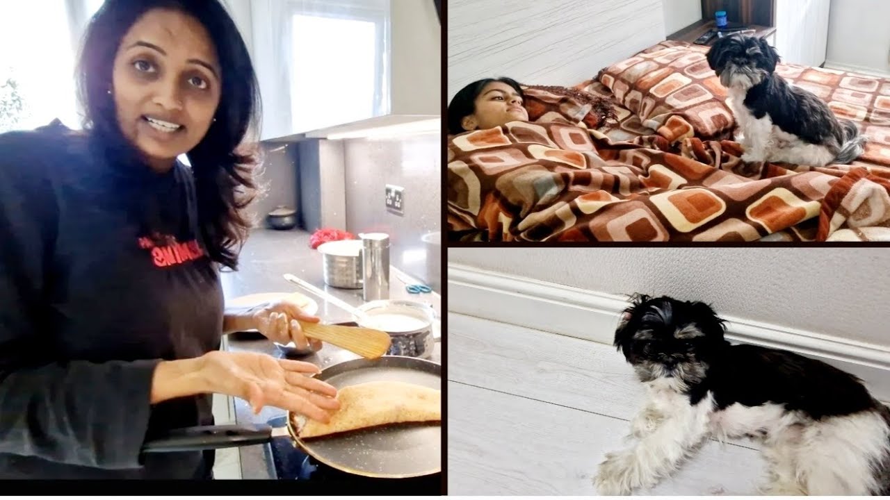 Yashi ko bimar  dekhkar Minnie ho gay emotional 😢,  and  dinner  me banaya Dosa😋