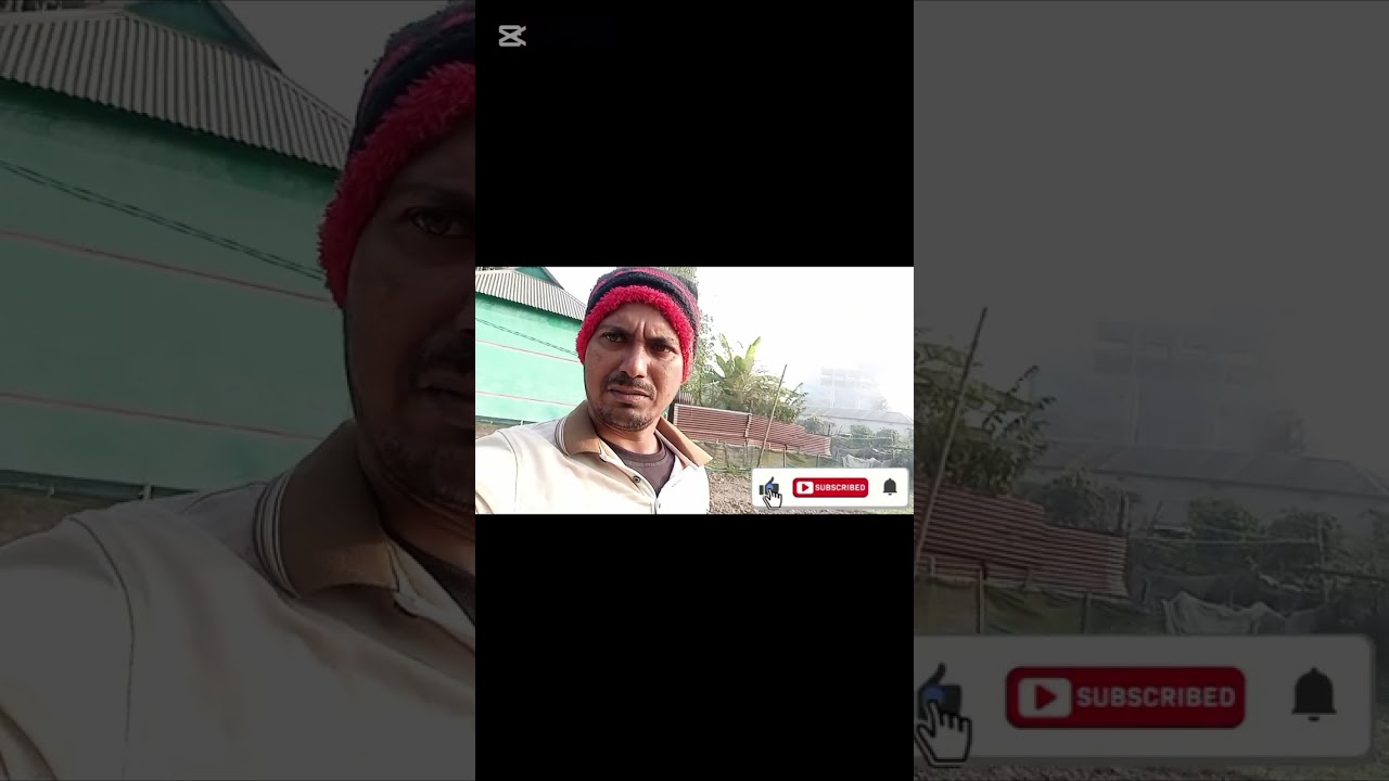 সবজি বাগানে পানি দিলাম 