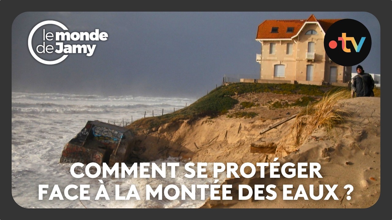 Quand la mer grignote tout : Biscarrosse et l’effondrement du front de mer - Le monde de Jamy