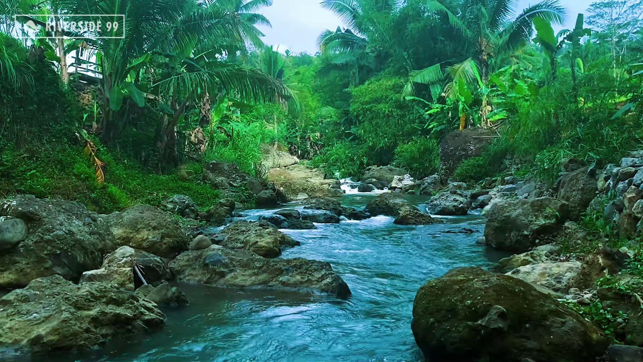 Mountain River Flowing Sounds 24/7 for Sleeping | Nature Water Sounds White Noise for Relaxation #3