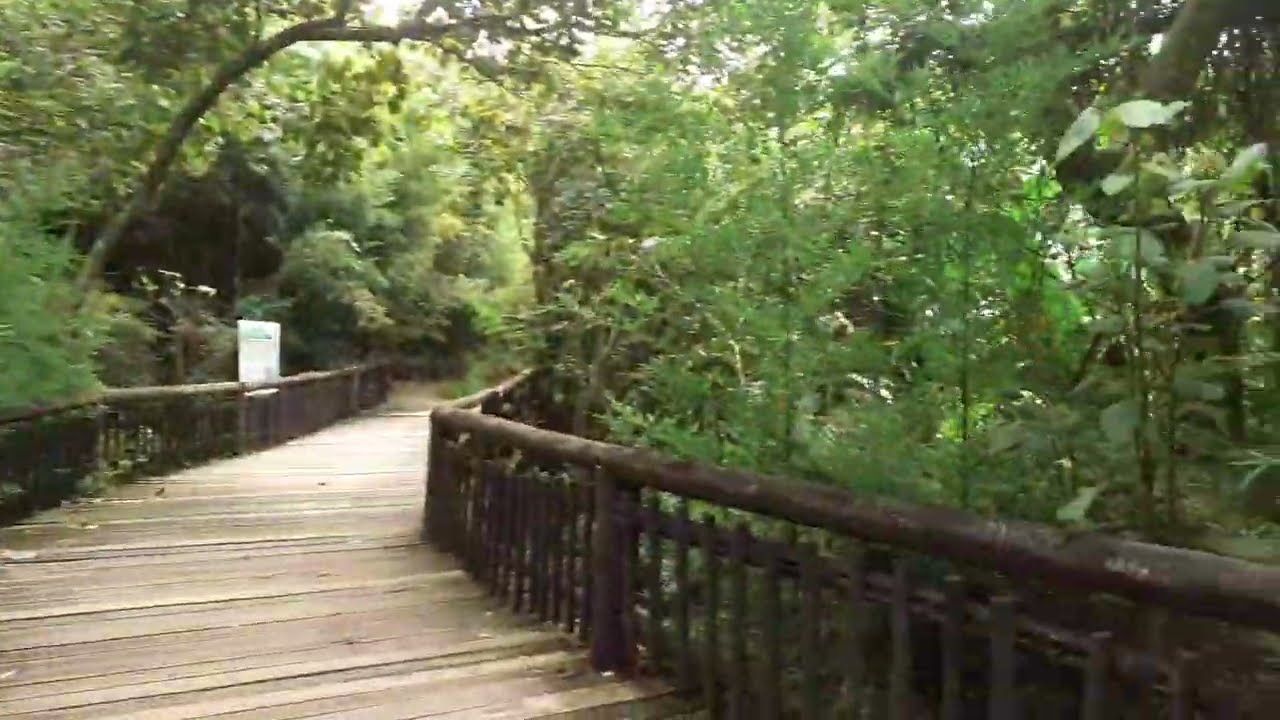 Parque Chico Mendes - Osasco - SP