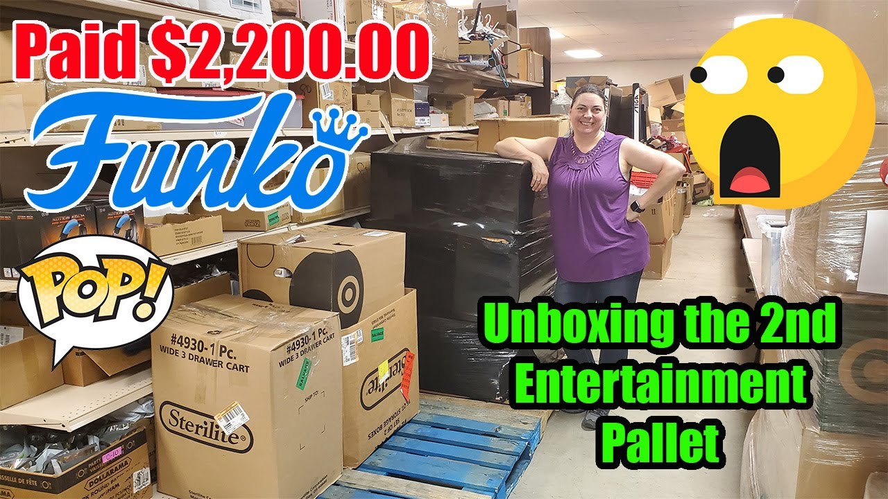Unboxing the missing Pallets - They are full of Entertainment items - I paid $2,200.00