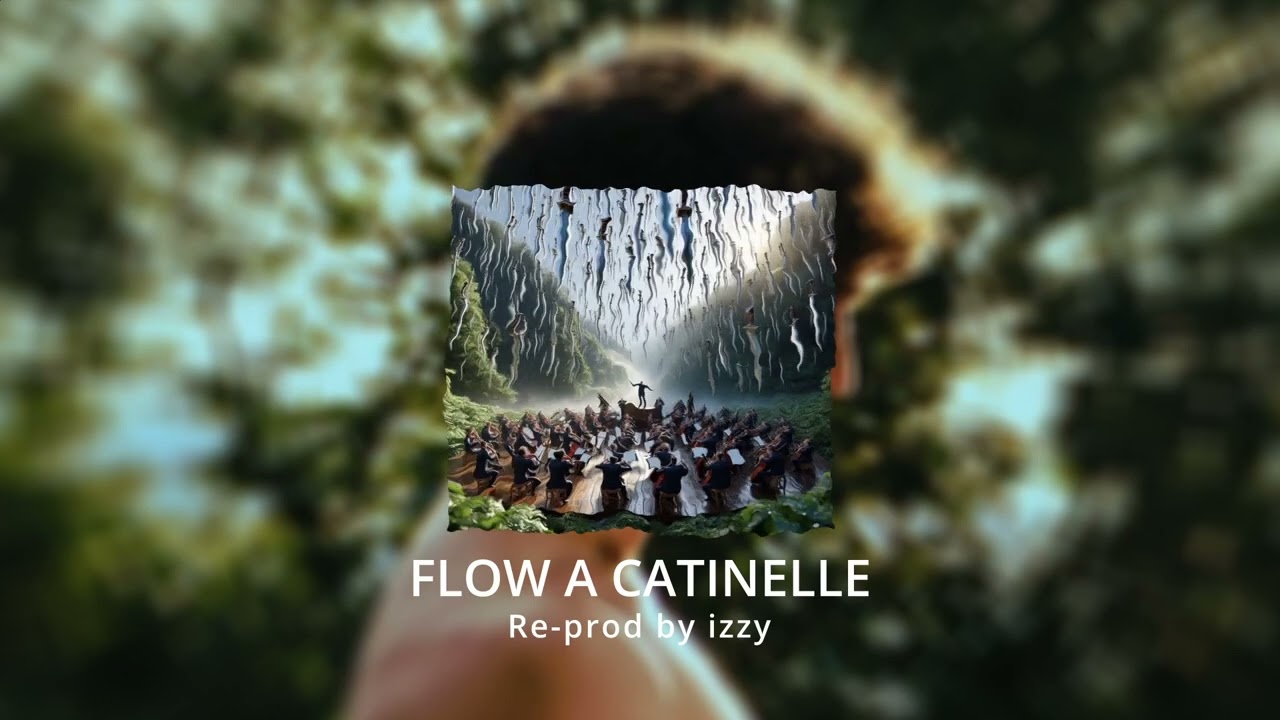 FLOW A CATINELLE - Spampy (Instrumental by izzy)