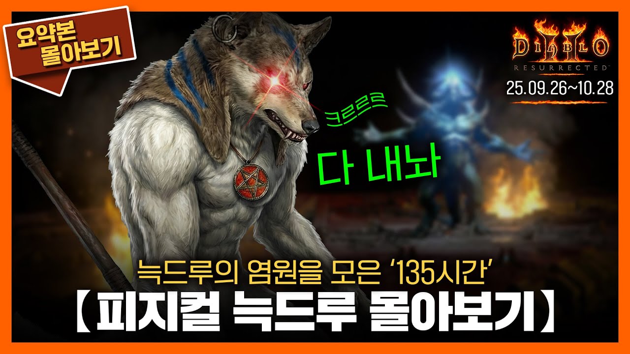 〈피지컬 늑드루〉135시간의 여정을 3시간 36분에 담다 // 요약본 몰아보기ㅣ25.09.26~10.28 #디아2 #늑드루 #diablo