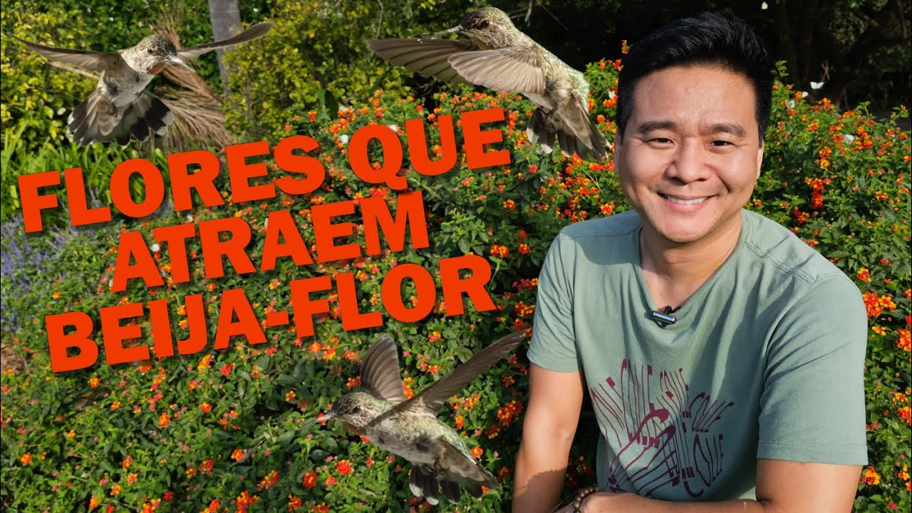 Flores que atraem os Beija-Flores