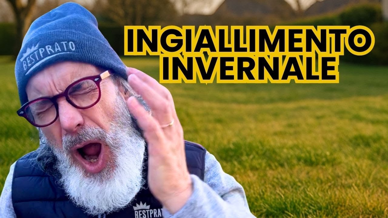 Ingiallimento invernale del prato: CAUSE E SOLUZIONI