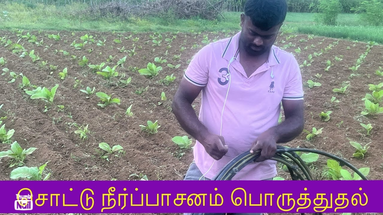 சொட்டு நீர்ப்பாசனம் அமைக்கும் முறை |🌱Drip Irrigation System Used🥬