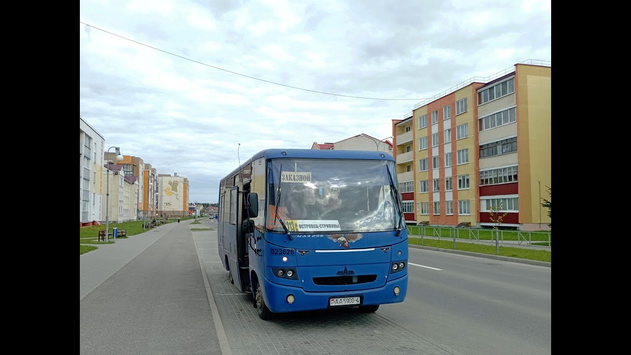 Автобус МАЗ-256.170 гос. № АА 5900-4 маршрут №213с в Островце (ПОЕЗДКА)