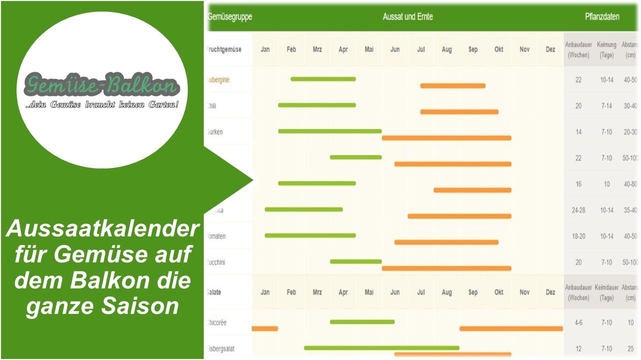 Aussaatkalender 🗓️ f&uuml;r Gem&uuml;se und Kr&auml;uter 🌿 auf dem Balkon &uuml;ber die ganze Saison