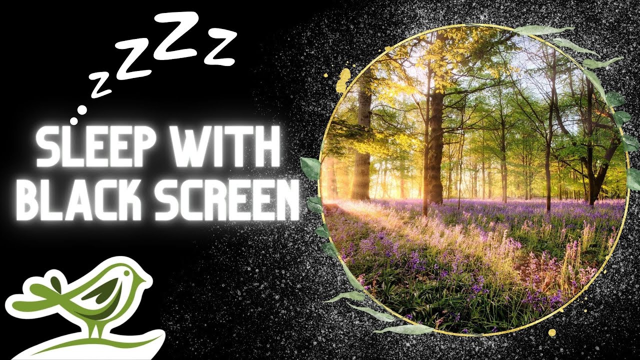 [NO ADS] Bliss | Beautiful Instrumental Music for Sleep with Black Screen (10 Hours)