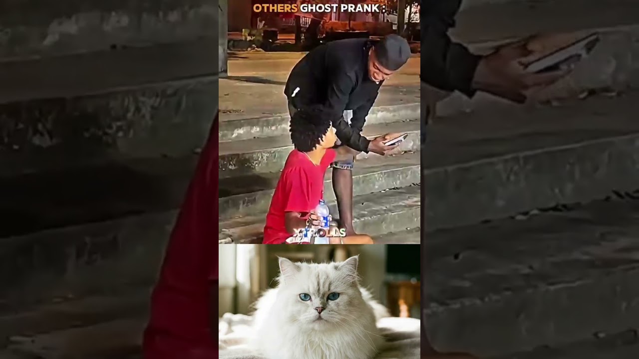 Ghost Prank Gone Wild! 🤣🐱 