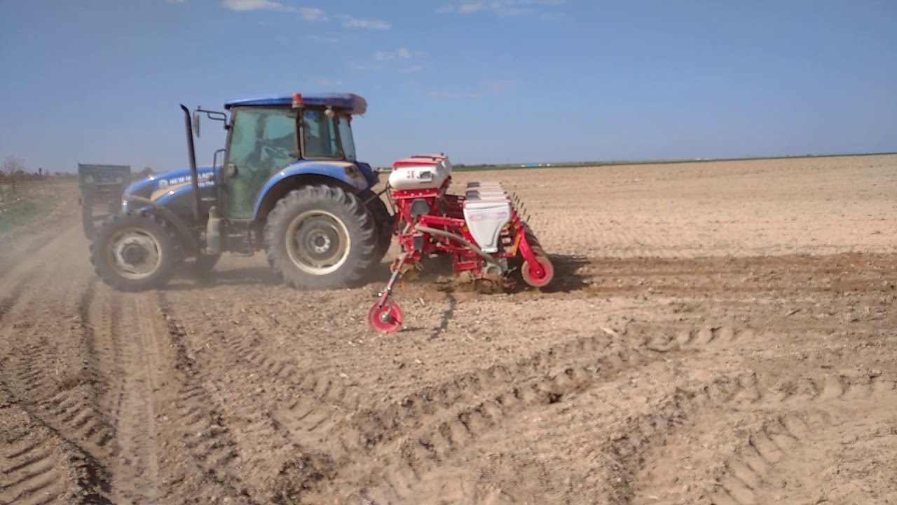 2020  Danelik Mısır Ekimi Başladı (Pioneer P0937)