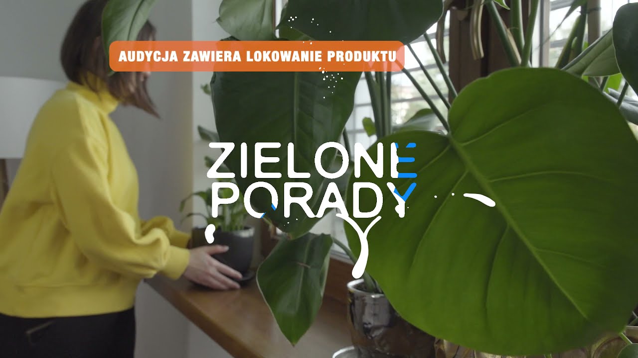 Zielone porady | Substral Do Roślin Zielonych