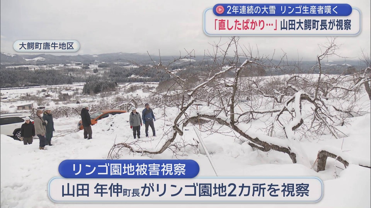 【青森県】2年連続の大雪　リンゴ生産者嘆く　「直したばかり…」　山田大鰐町長が視察（2026年2月25日放送）