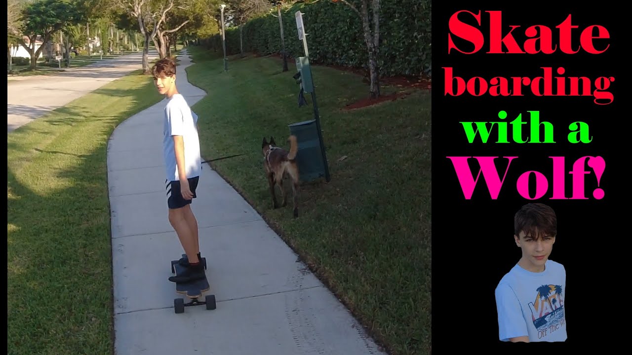 A Wolf Rider is Born: Skateboarding with Wolf Puppy!