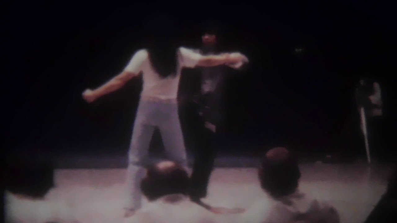 Kung-Fu mit Christopher Jim und Al Dacascos