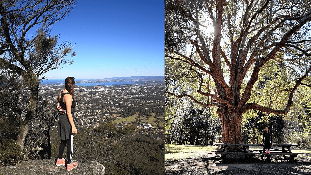 Where to go hiking in the Illawarra | Mount Keira Summit Track | NSW Kookaburras and mountain goats