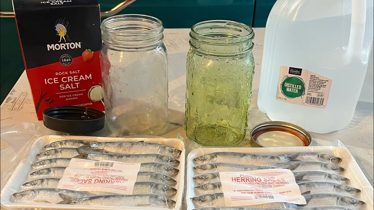 Quick and Easy Herring Brine for Salmon Fishing