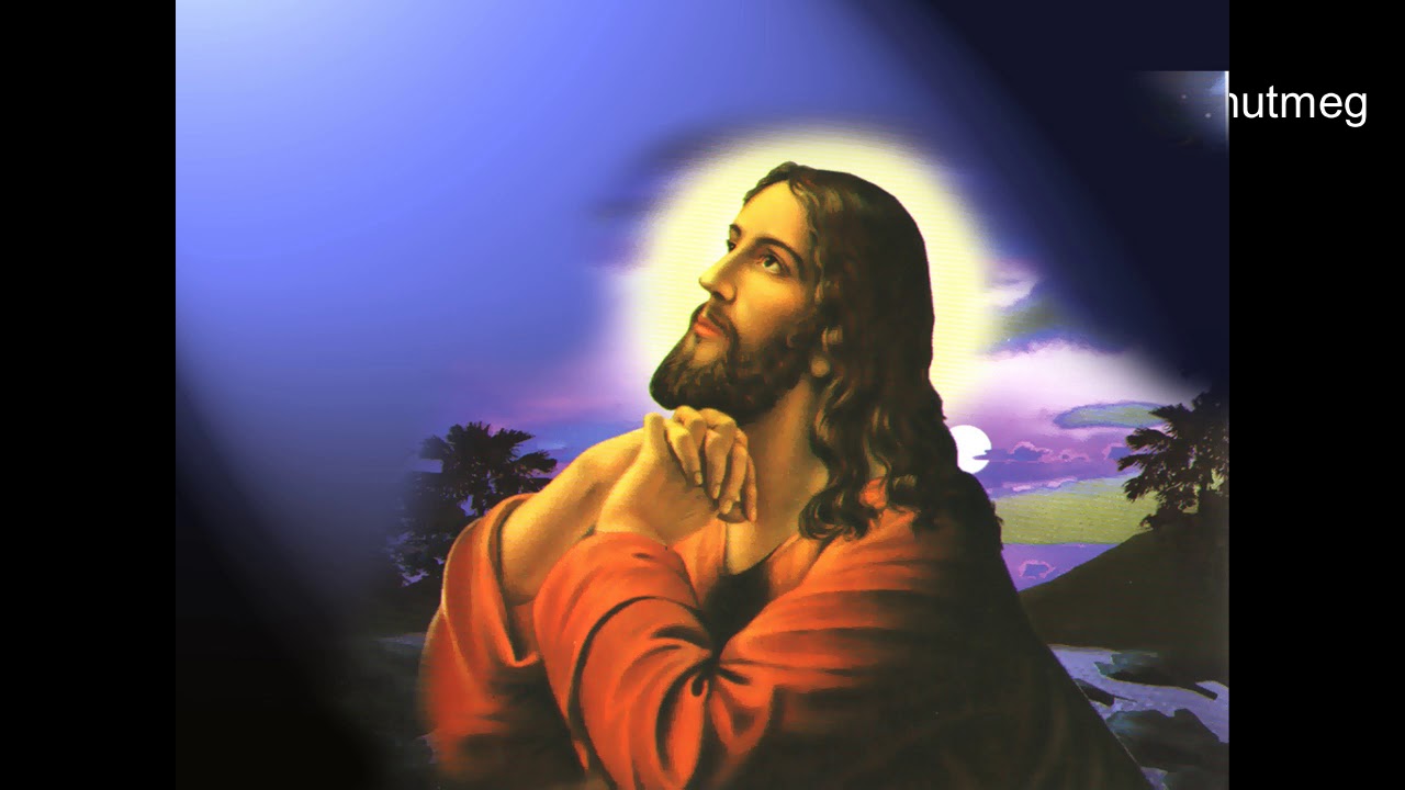 Paduka Nave  nee Christuvinte