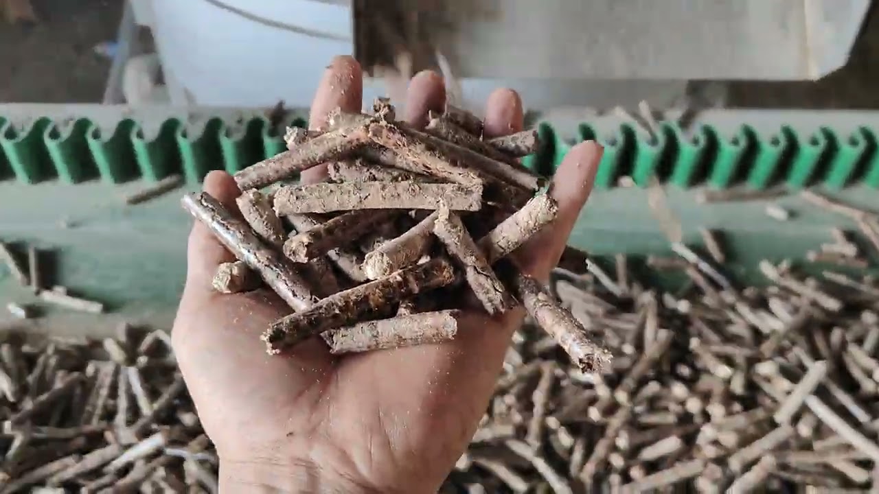 10-12 TPH fully automated biomass Pellet production plant