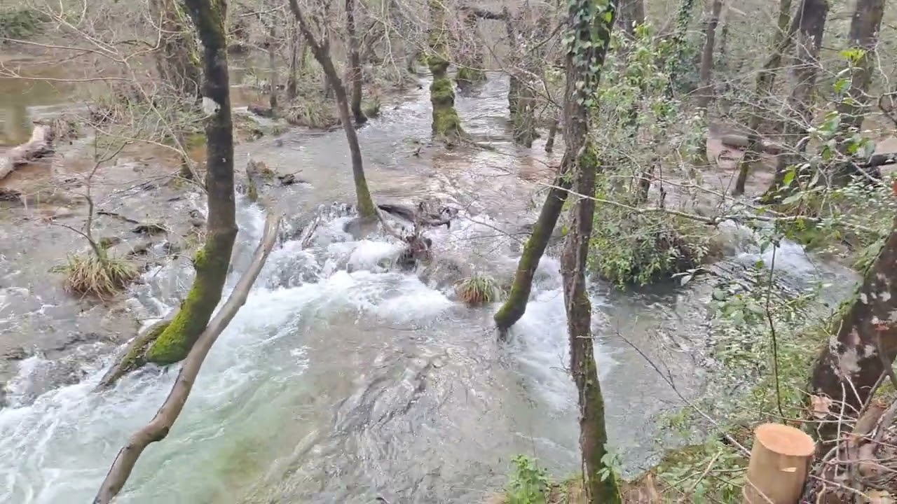 Gorges du Caramy