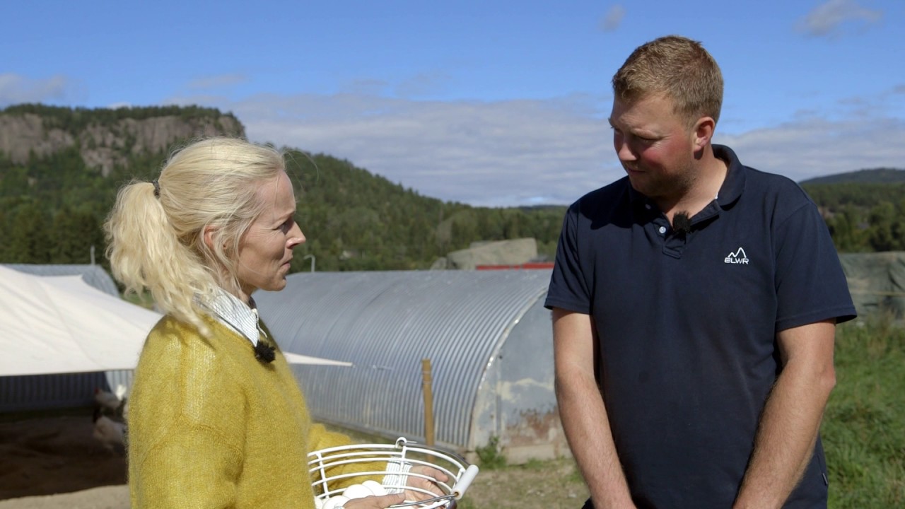 Berit Nordstrand på økologisk bondegård - egg og regnbueomelett