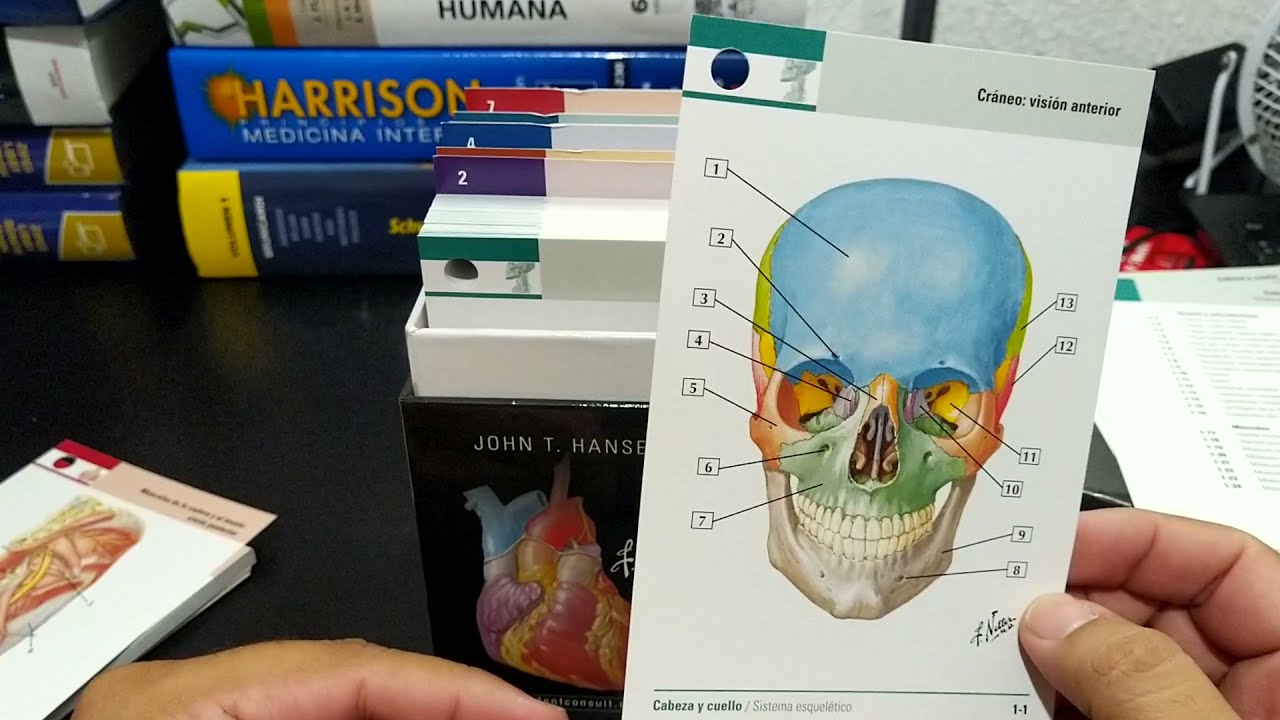 Unboxing/Review Flashcards Netter de anatomía.