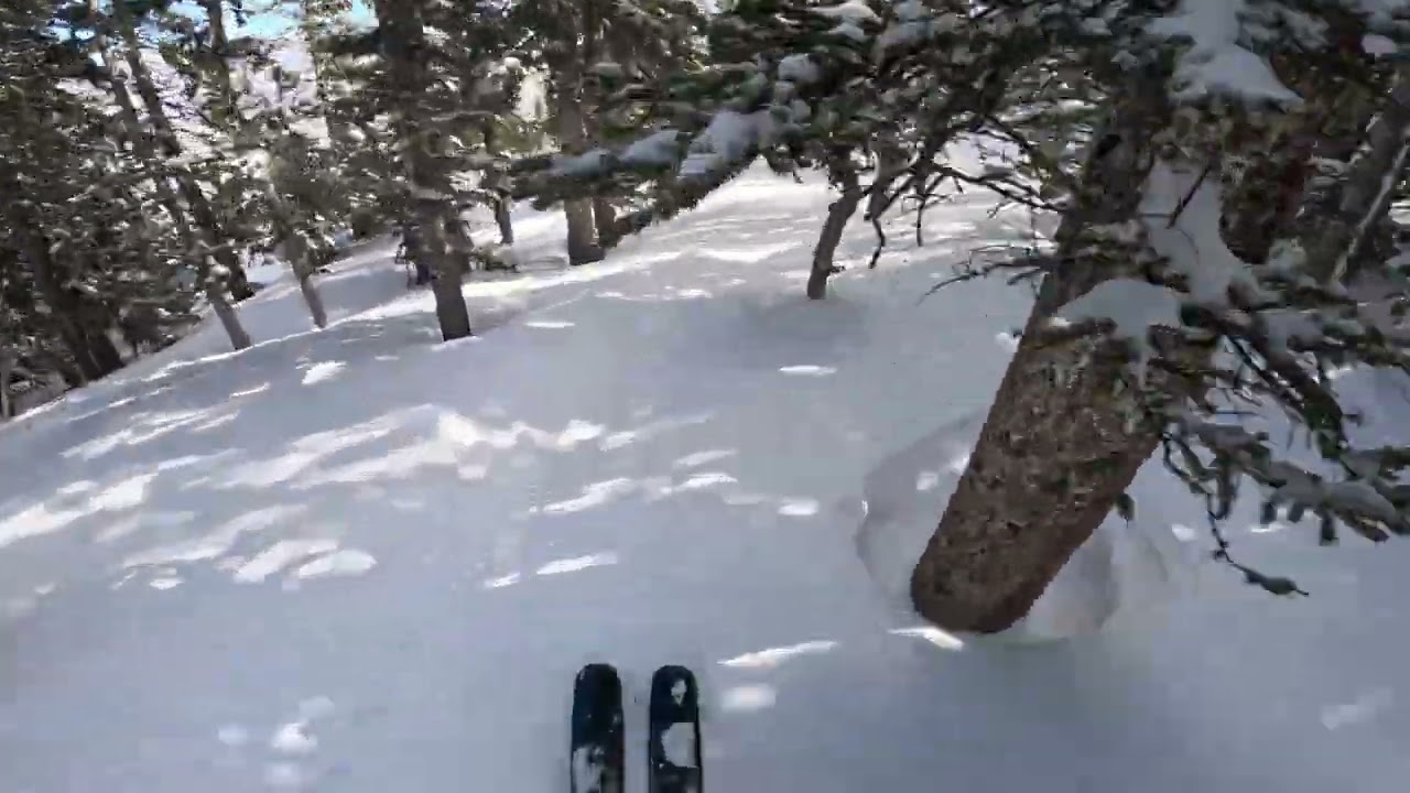 Aspen Snowmass - Hanging Valley Wall Powder Day!!!