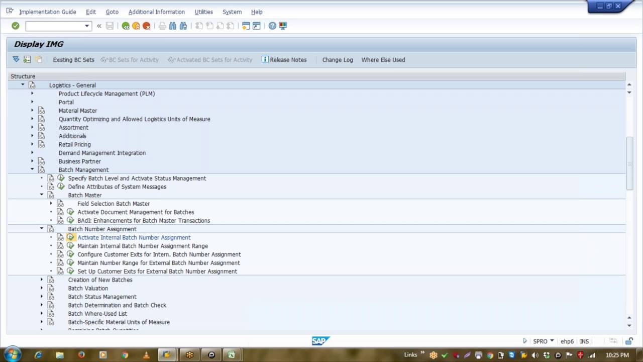 Конфигурация и концепция управления партиями SAP