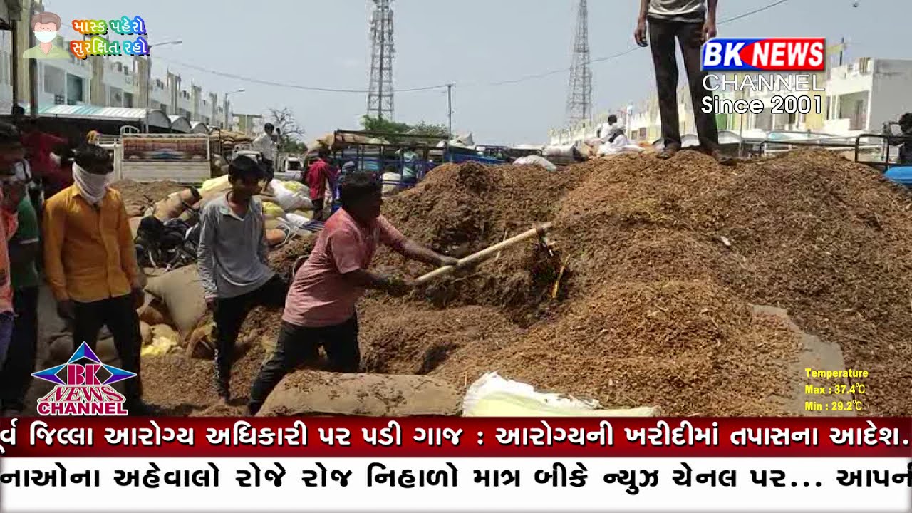 ભાભર માર્કેટયાર્ડમાં લીંબોળીની આવક...