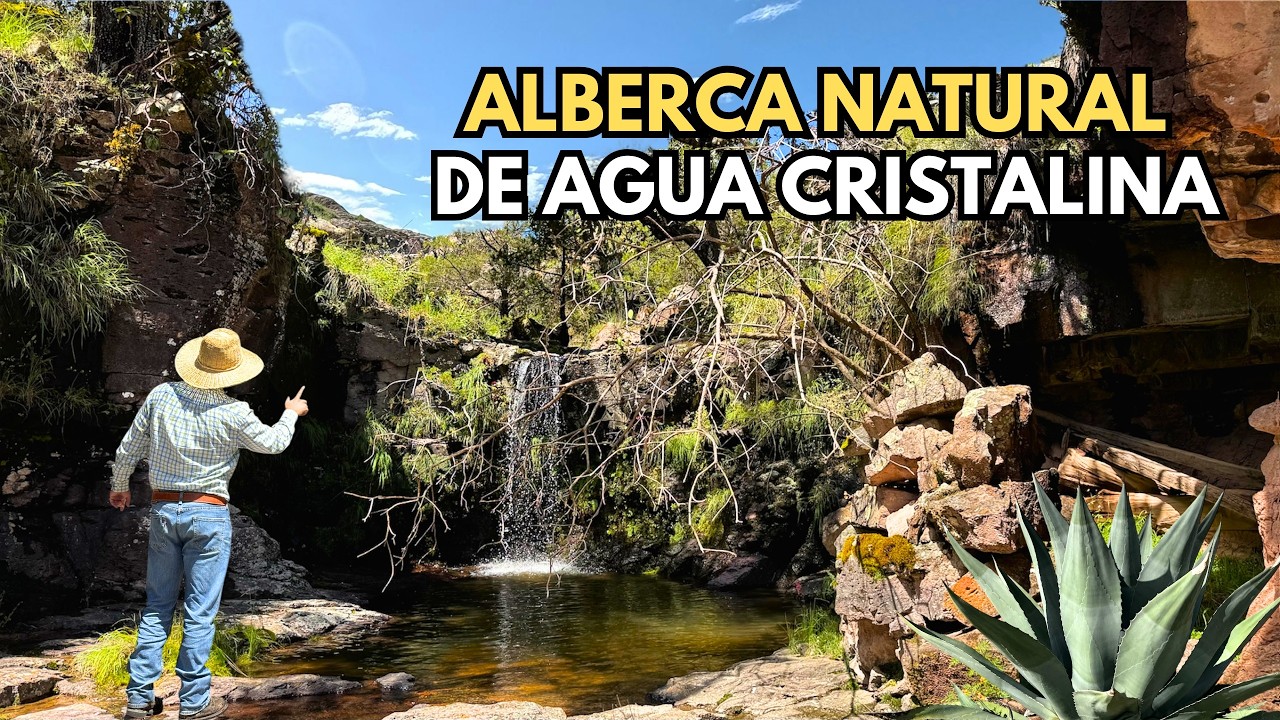 AQUÍ SE ENCUENTRA UNA ALBERCA NATURAL DE PIEDRA DONDE CORRE EL AGUA CRISTALINA