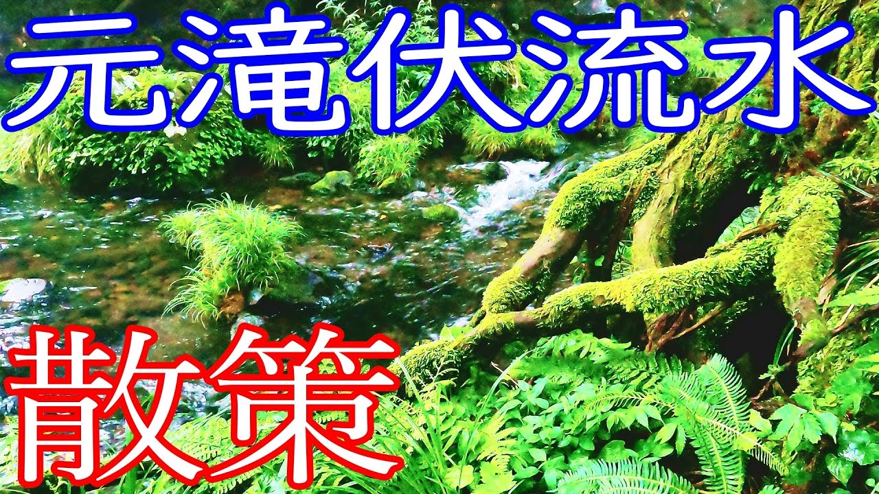 【秋田】元滝伏流水をゆる散策