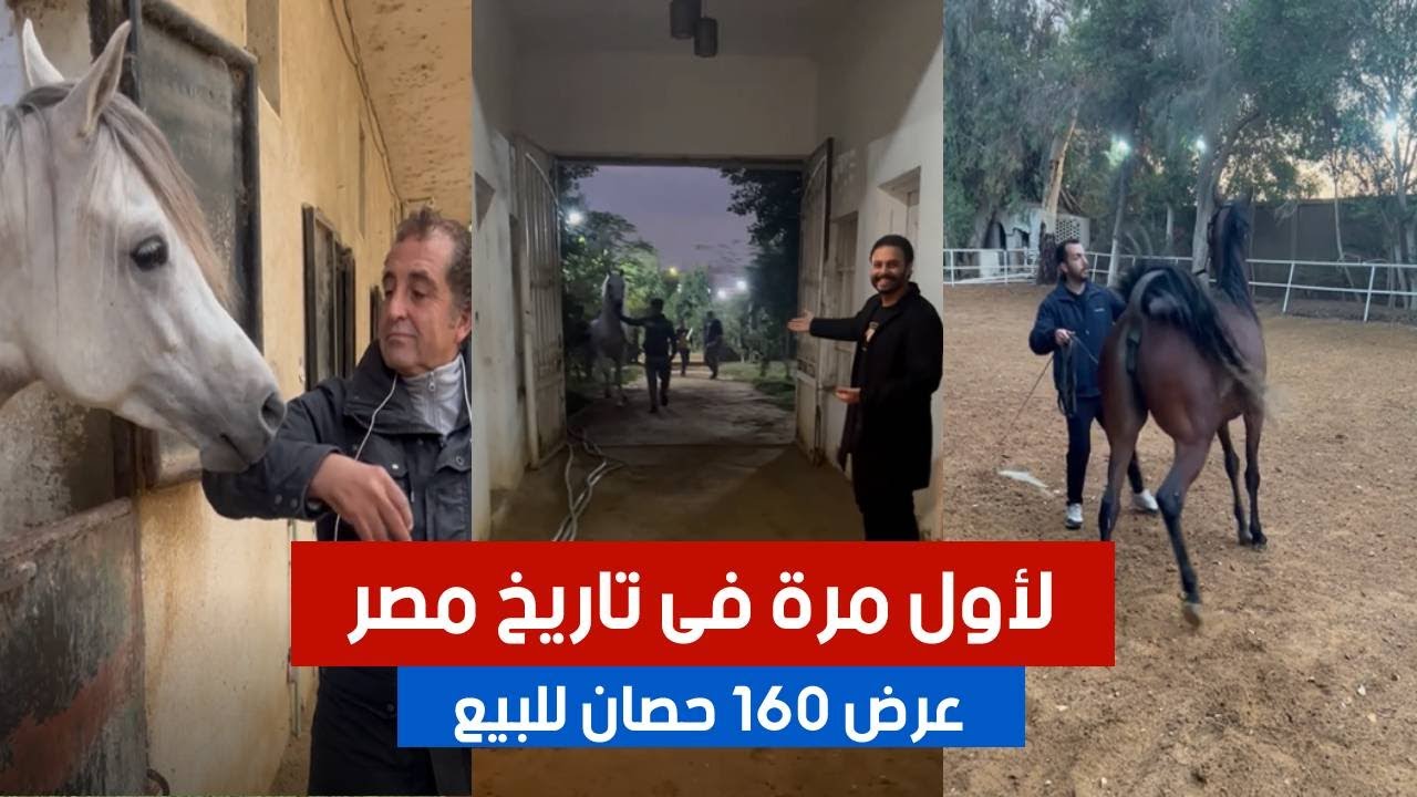 لأول مرة فى تاريخ مصر.. مزرعة تعرض ١٦٠ حصان عربى اصيل للبيع!! #٦٠شو_مع_الدكتور_حاتم_ستين