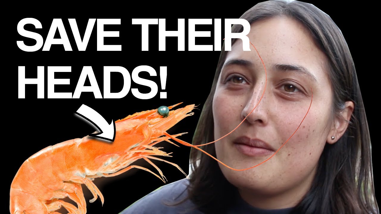 Zero Waste Prawn Head Oil (RECIPE)