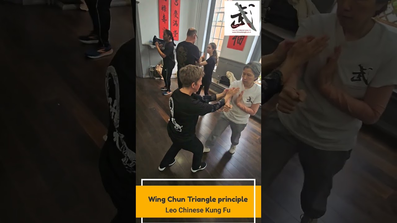 Wing chun Triangle Principle #wingchunkungfu #martialarts #wushufight #chenstyletaiji #kungfu