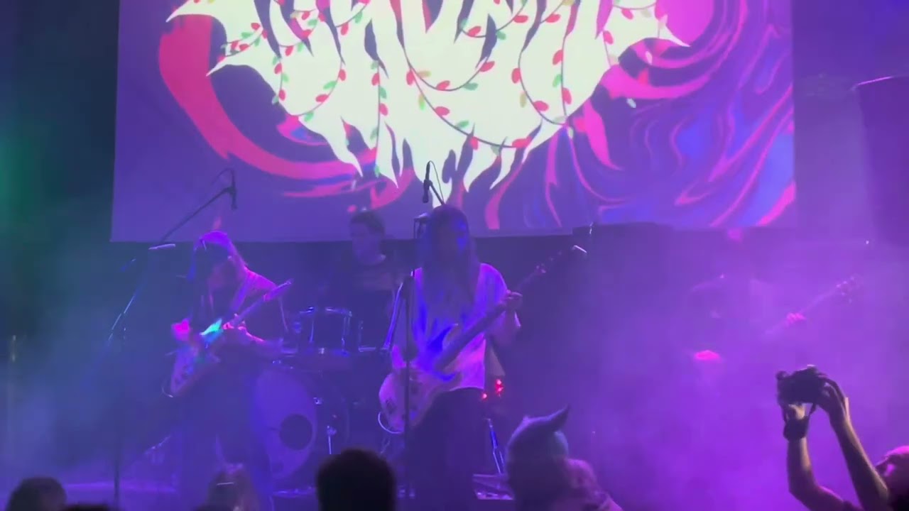 Шабаш PSYCHEBURG FEST (Ласточка 30.12.2023)