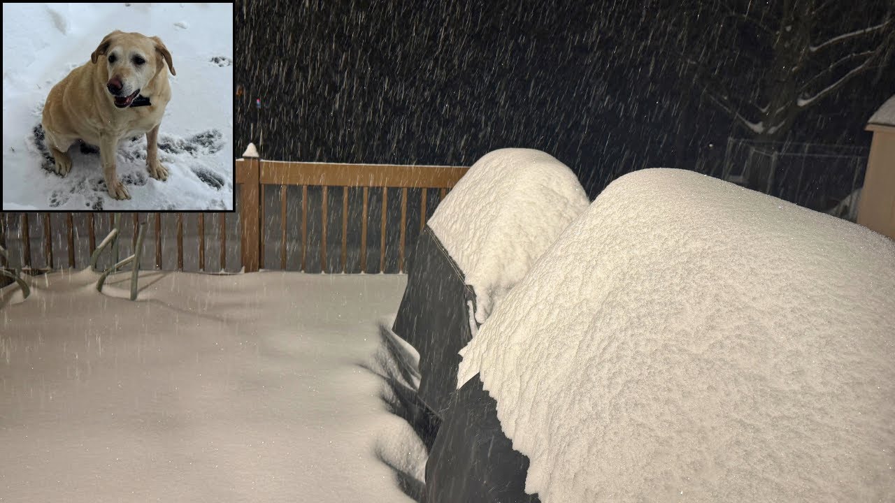 SNOWSTORM ~ 17 INCHES IN SOUTHERN NEW HAMPSHIRE! 1/26 - 1/27