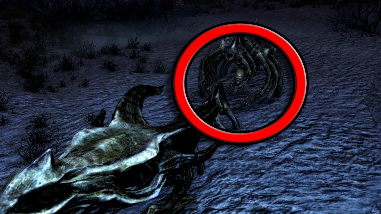 Do you see it? | Skyrim AE