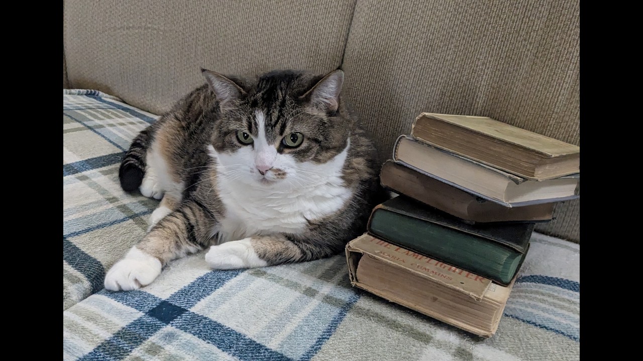 My Old, Old Books